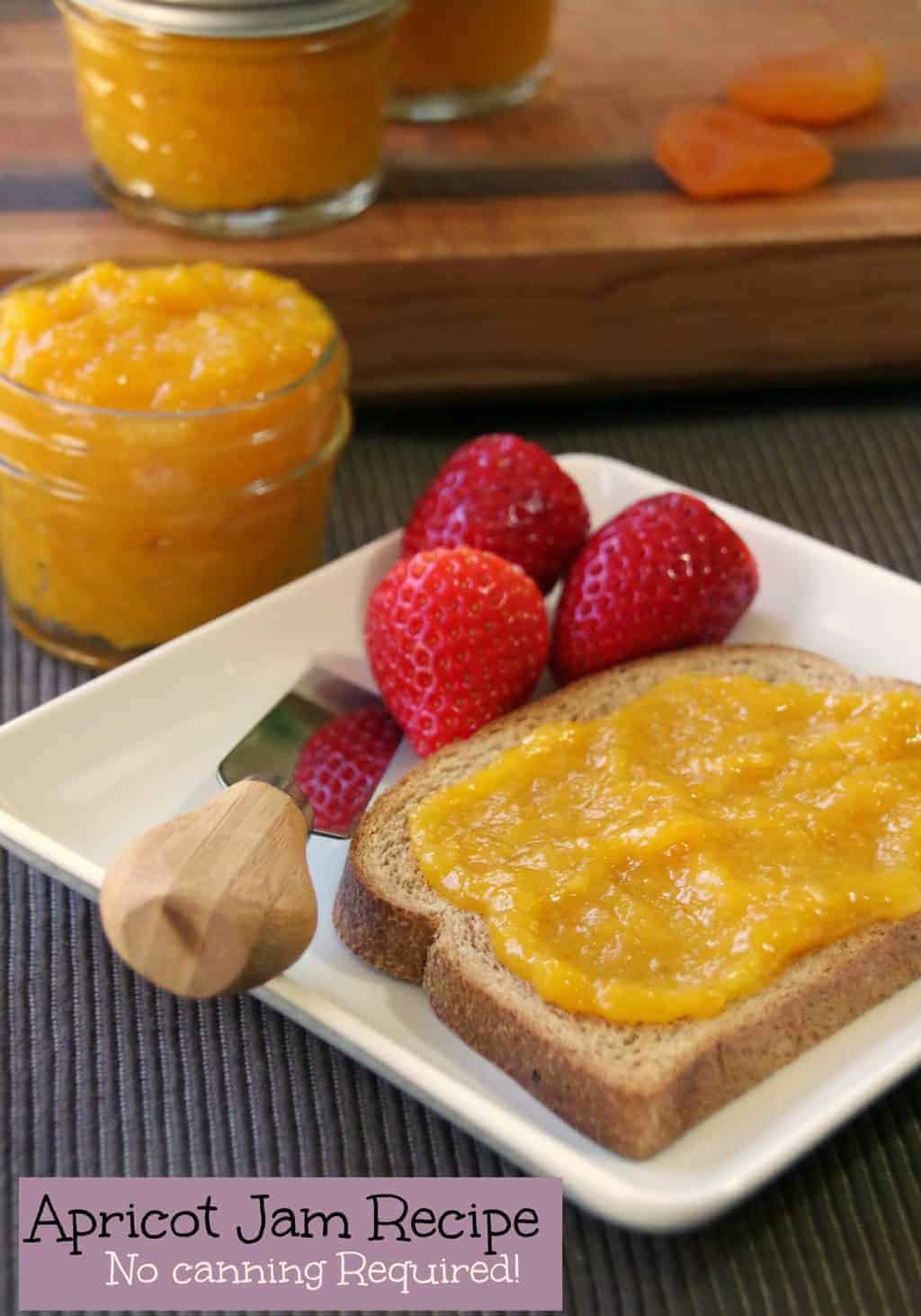 Easy Apricot Jam Recipe Turning the Clock Back