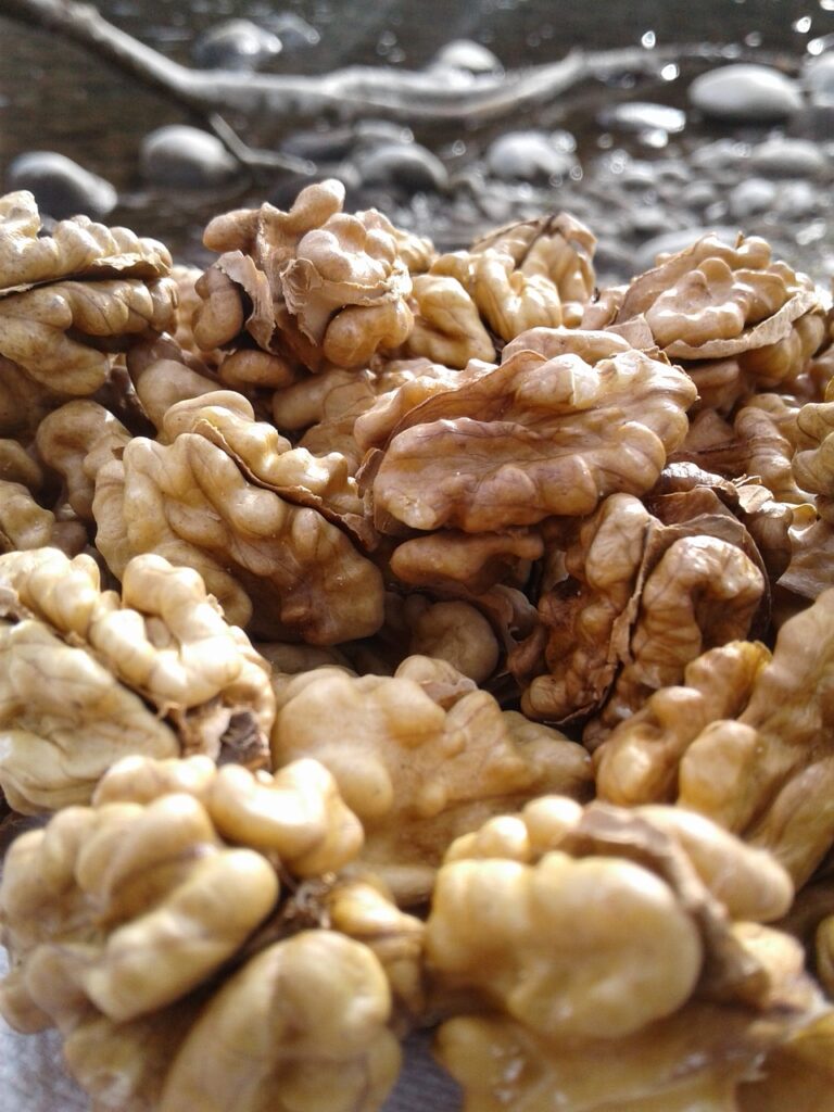 pile of walnuts
