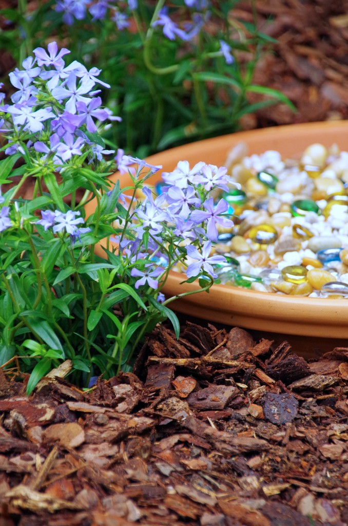 bee bath with stones in the backyard next to a bee friendly flower