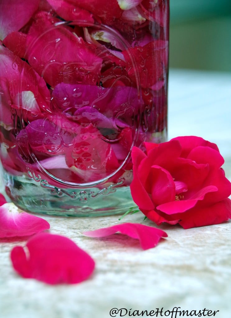 How to make rose water