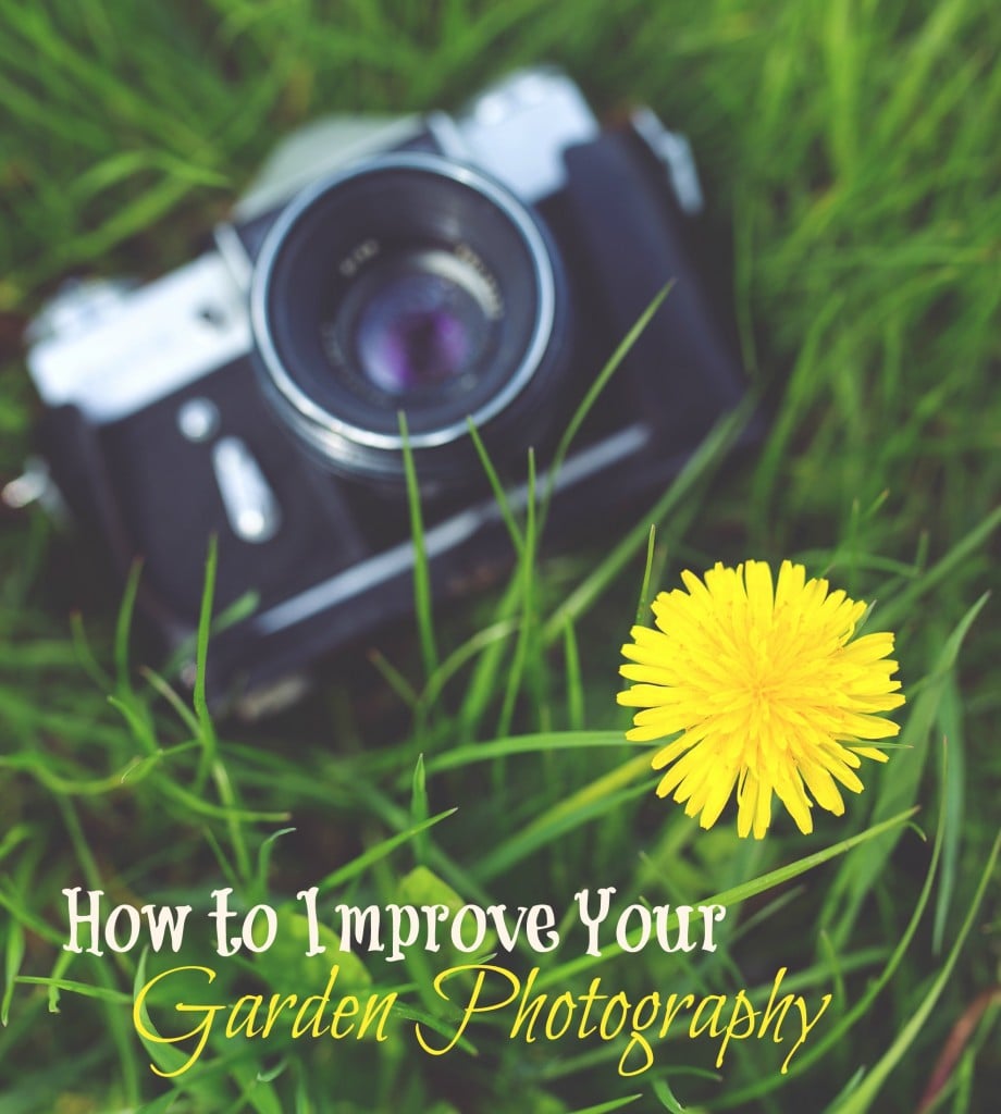 How to Improve Your Garden Photography