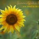 10 Summer Garden Projects You Need to do NOW!