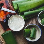 How To Get Aloe Vera Gel From Your Aloe Plant