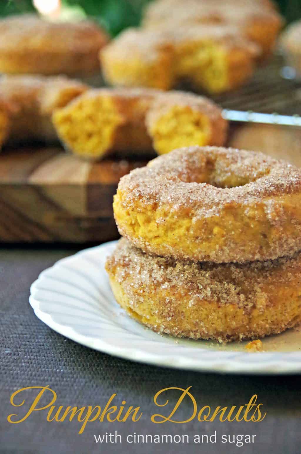 Pumpkin Donuts with Cinnamon and Sugar 2