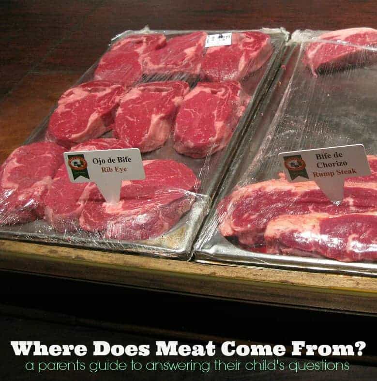 trays of meat on a table with text where does meat come from