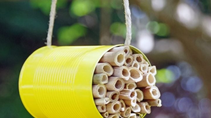 Diy Mason Bee House To Help Save Pollinators Turning The Clock Back