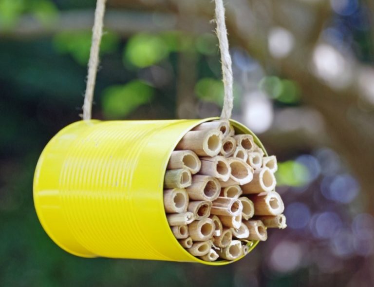 DIY Mason Bee House to Help Save Pollinators Turning the Clock Back