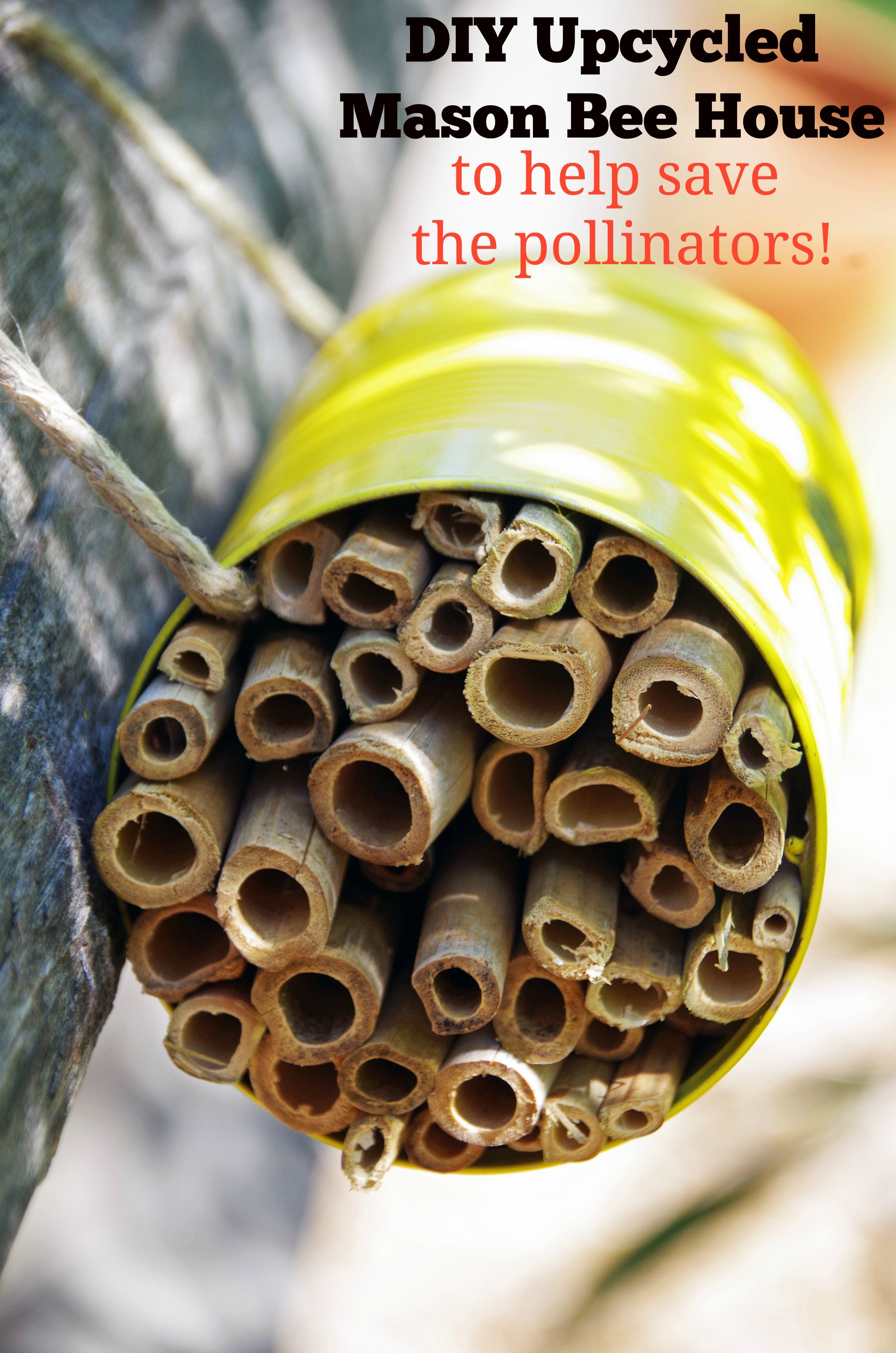 Diy honey bee house Diy honey bee house
