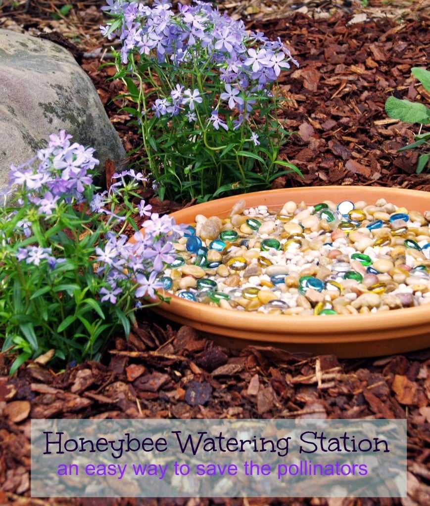 This easy honeybee watering station is an easy garden diy to help save the pollinators!