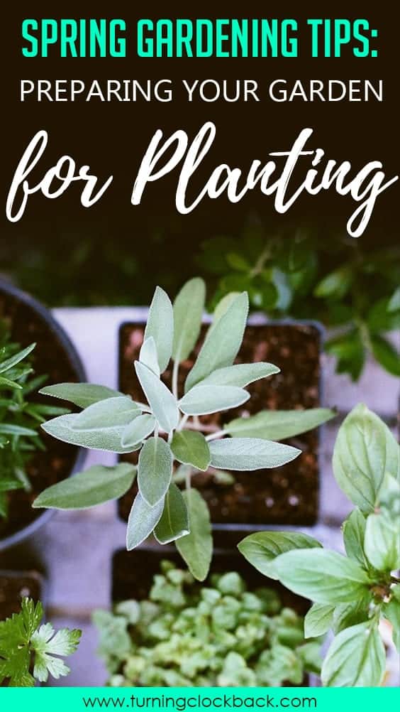 Spring Gardening Tips Preparing Your Garden for Planting