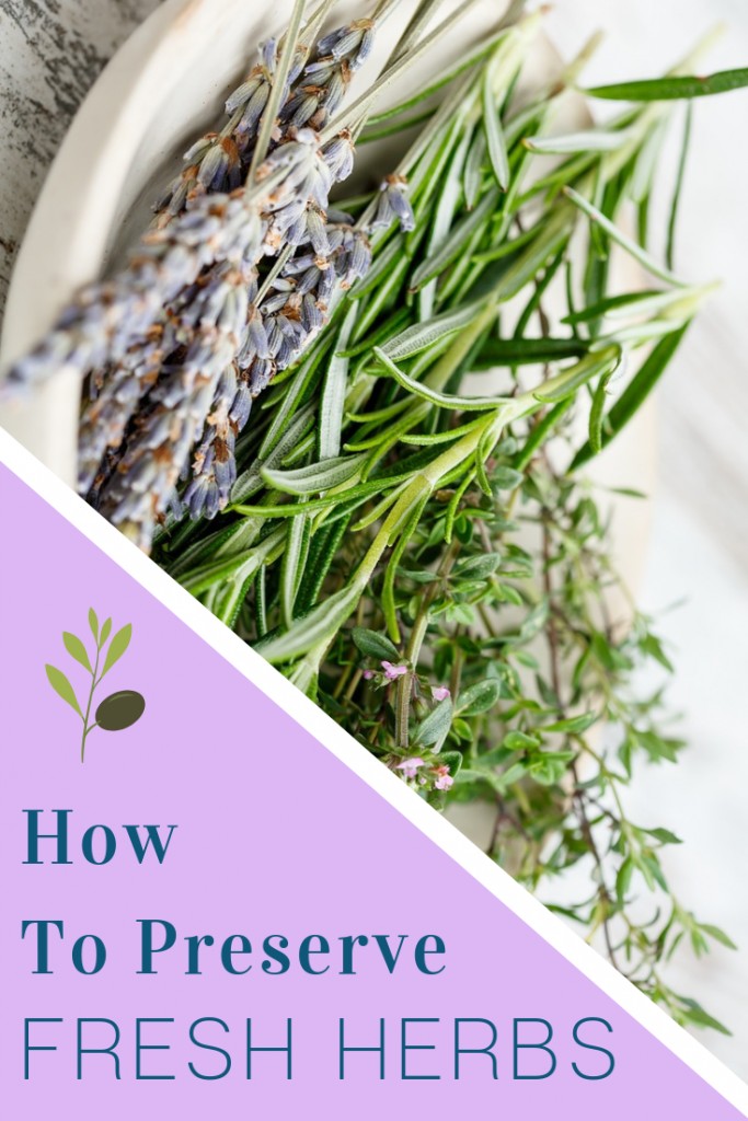 How To Preserve Fresh Herbs