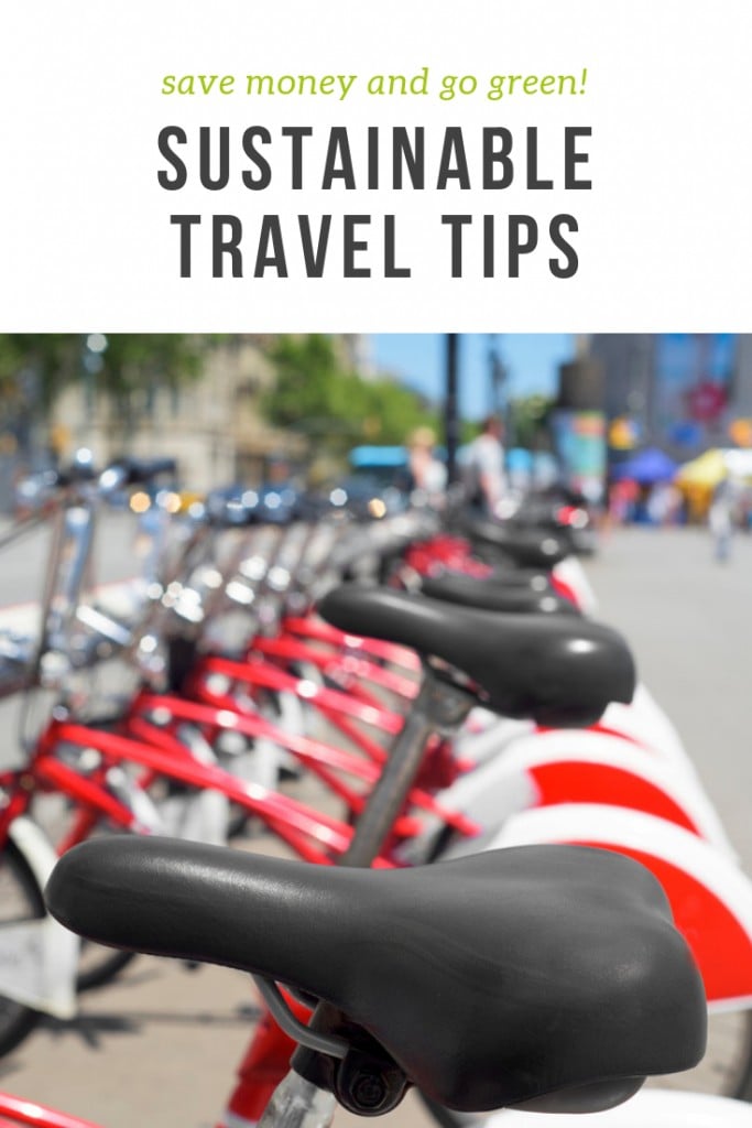 Sustainable Travel Tips to Go Green and Save Money