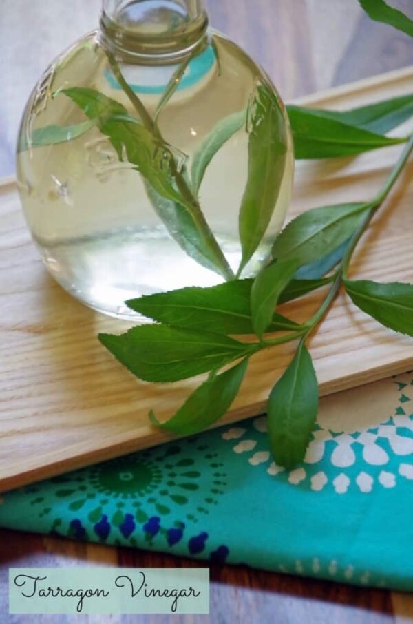 Tarragon Vinegar Recipe and 5 Other Uses for Tarragon
