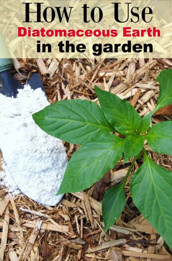 Using Diatomaceous Earth in the Garden Turning the Clock Back