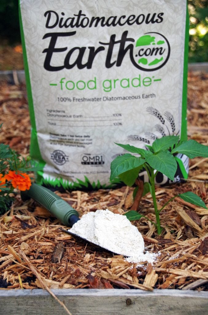 bag of diatomaceous earth in a garden for bee safe garden pest control