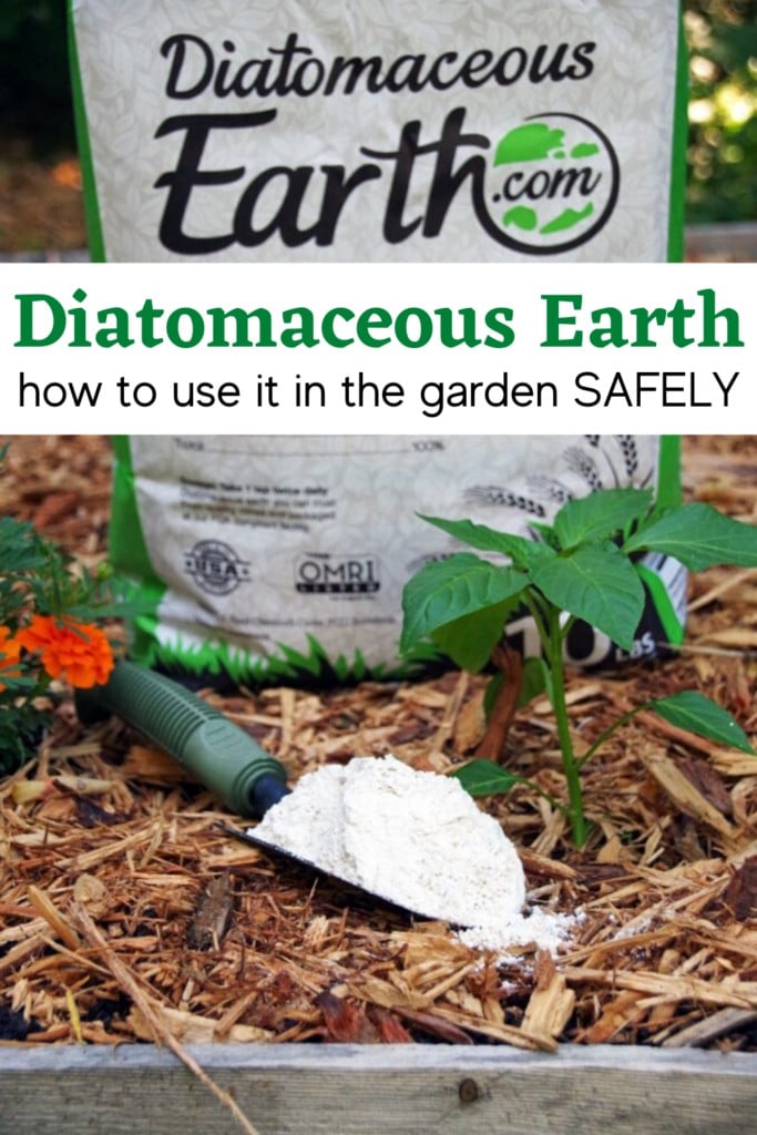 Tips for Using Diatomaceous Earth in the Garden