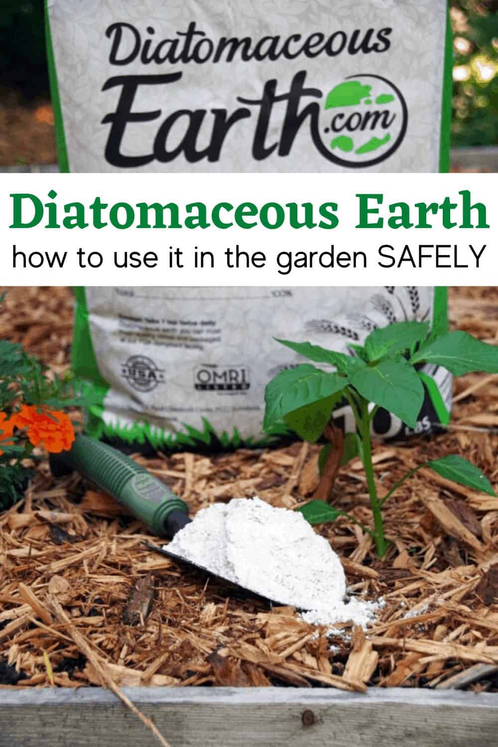 Using Diatomaceous Earth in the Garden Turning the Clock Back