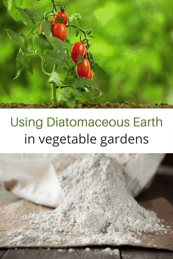 Using Diatomaceous Earth in the Garden Turning the Clock Back