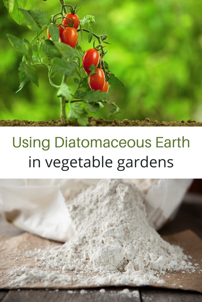 tomato plant and diatomaceous earth collage