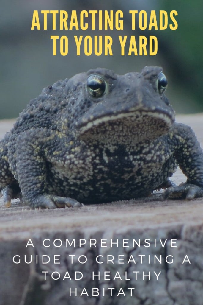 A garden toad on a tree stump with text 