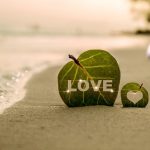 Eco Friendly Wedding Tips for a Smaller Budget and Less Waste