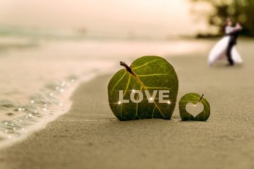 Eco Friendly Wedding Tips for a Smaller Budget and Less Waste