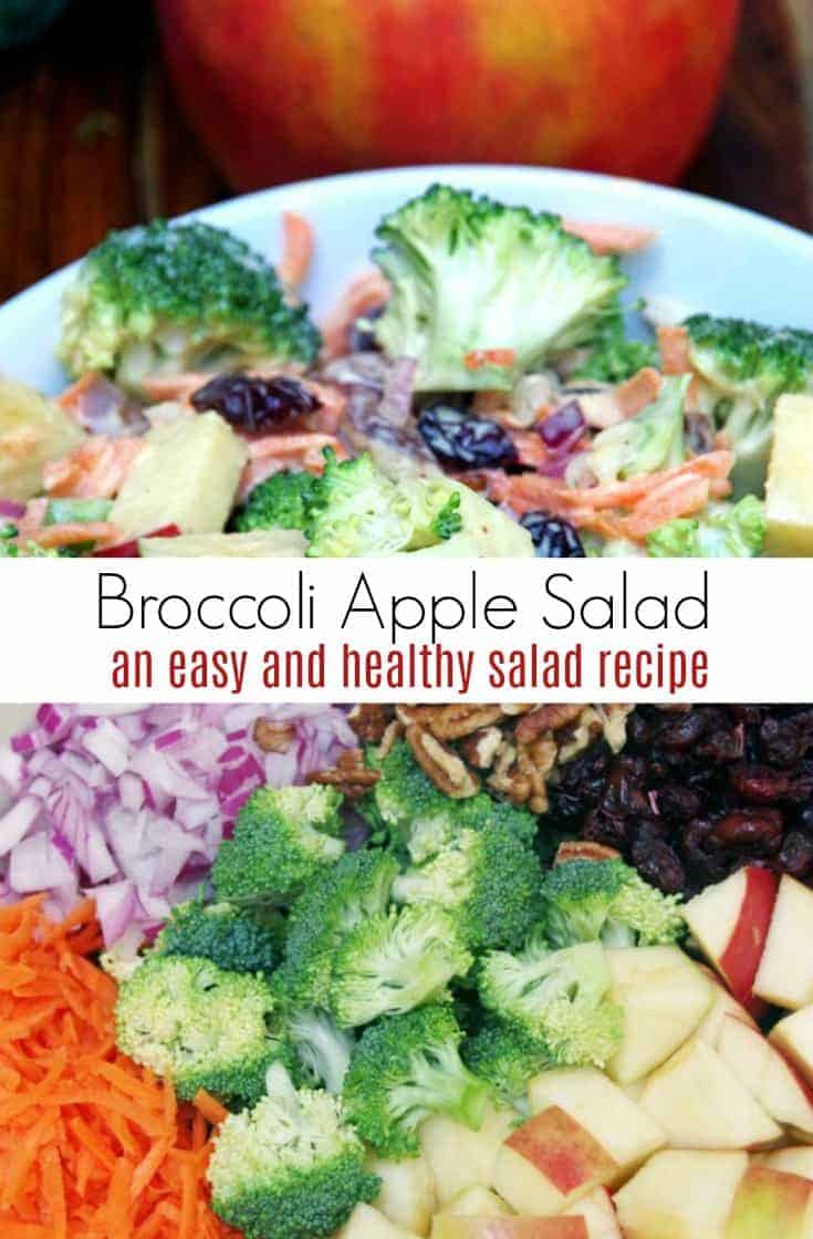 Want a quick lunch idea or side dish to bring to a potluck dinner? Try this Creamy Broccoli Apple Salad Recipe with Walnuts. Loads of flavor with plenty of crunch!