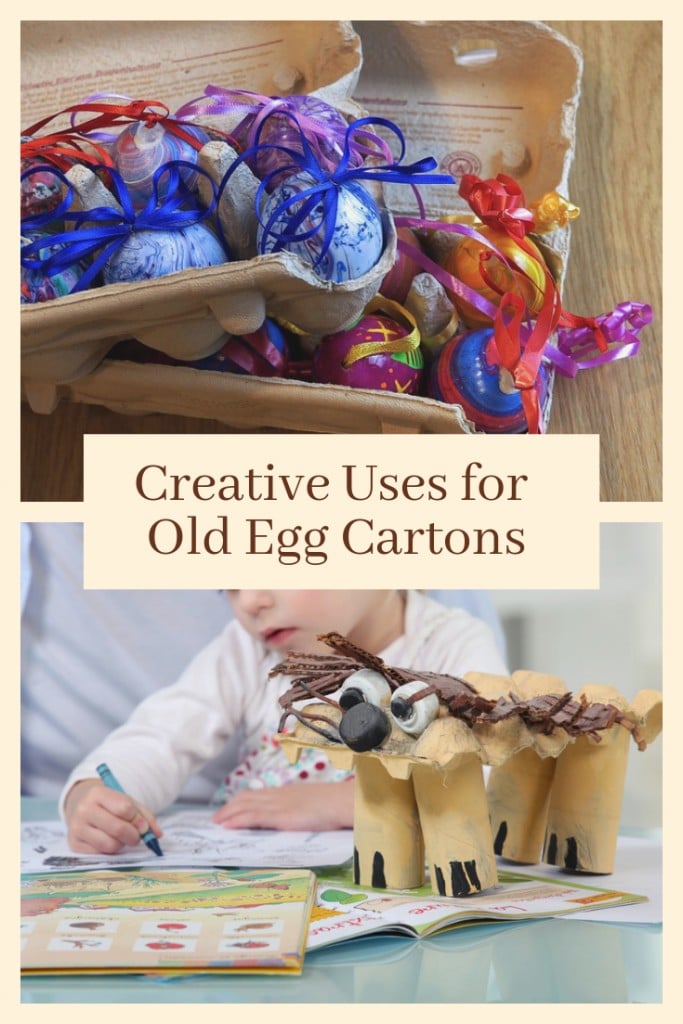 Ways to Use Old Egg Cartons