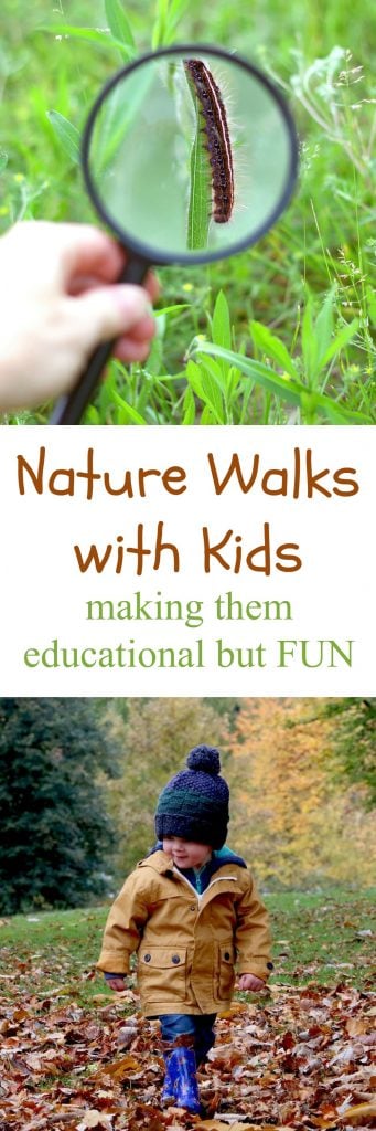 Make Nature Walks with Kids More Educational