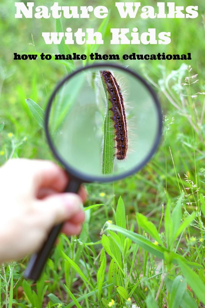 How to make nature walks with kids educational