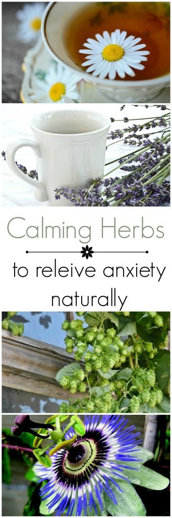 Calming herbs for anxiety when stress gets to be too hard to handle.