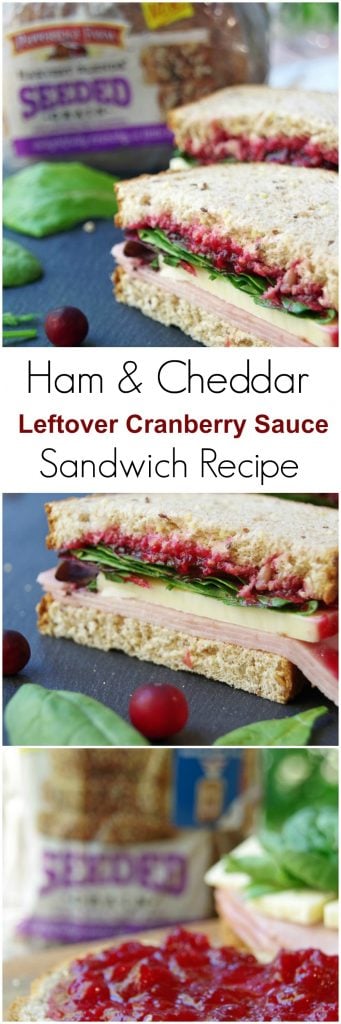 Leftover Cranberry Sauce Easy Sandwich Recipes