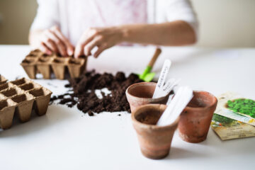 person planting seeds in pots inside