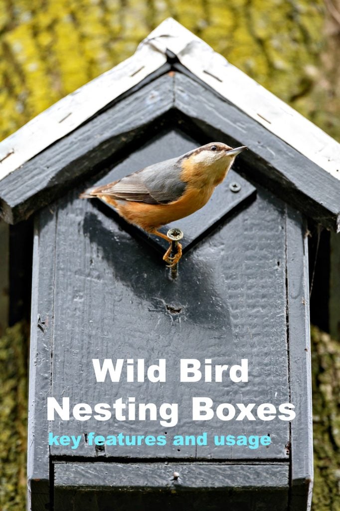 Tips for Adding Wild Bird Nesting Boxes to Your Yard