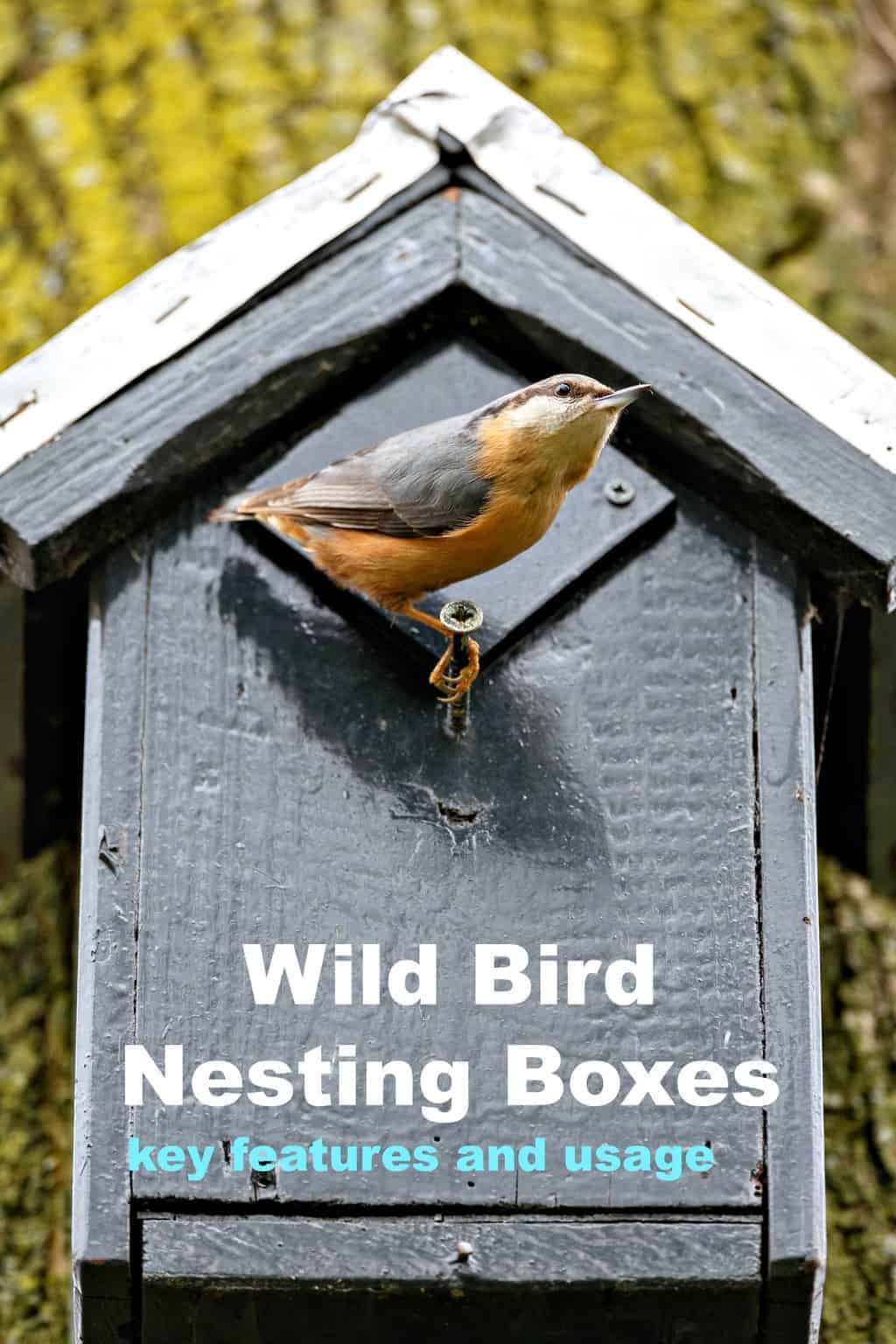 Tips for Adding Wild Bird Nesting Boxes to Your Yard Turning the