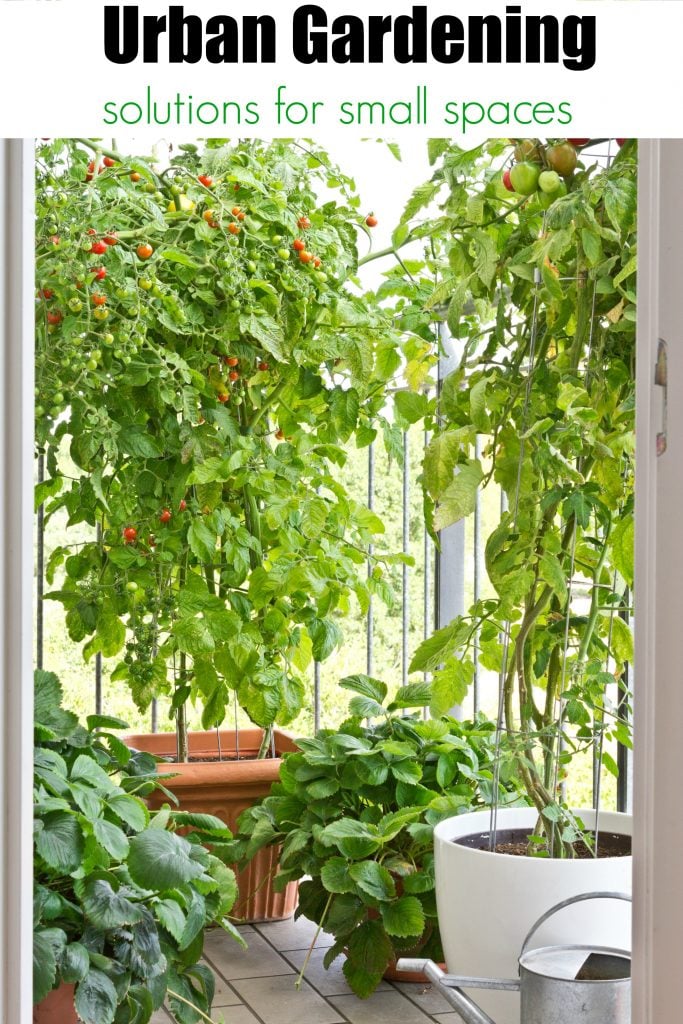 Urban Gardening Ideas and solutions for small spaces