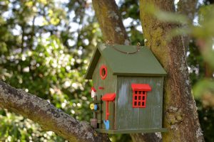 Tips for Adding Wild Bird Nesting Boxes to Your Yard