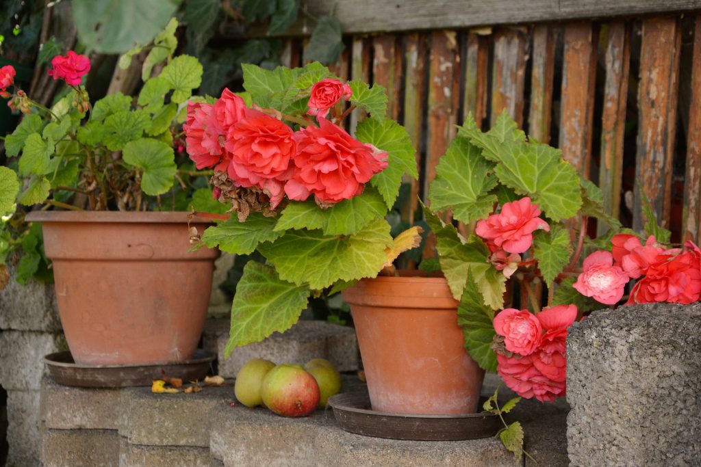 outdoor flower pots on patio