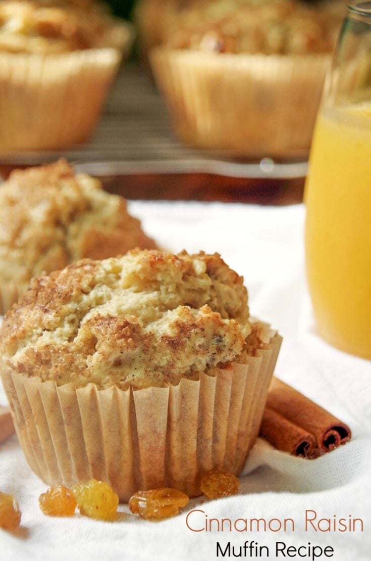 Easy Cinnamon Raisin Muffin Recipe to Start Your Morning Off Right!