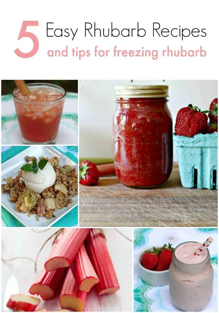 Freezing Rhubarb and 5 Easy Rhubarb Recipes 