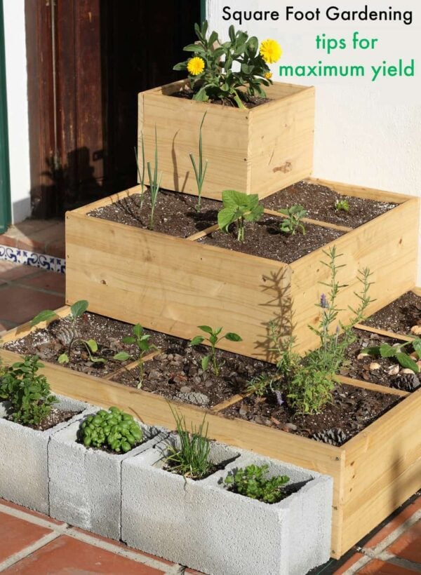 Square Foot Gardening Tips for Maximum Yield - Turning the Clock Back