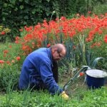 Best Natural Weed Control and a New Way to Look at Weeds!
