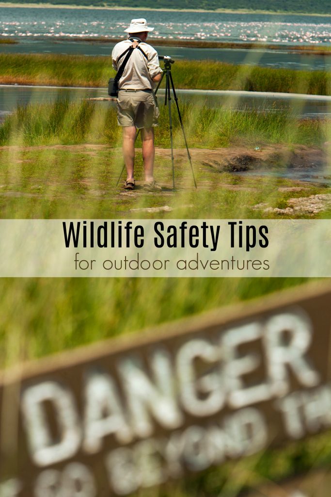 Wildlife Safety Tips for Outdoor Family Vacations