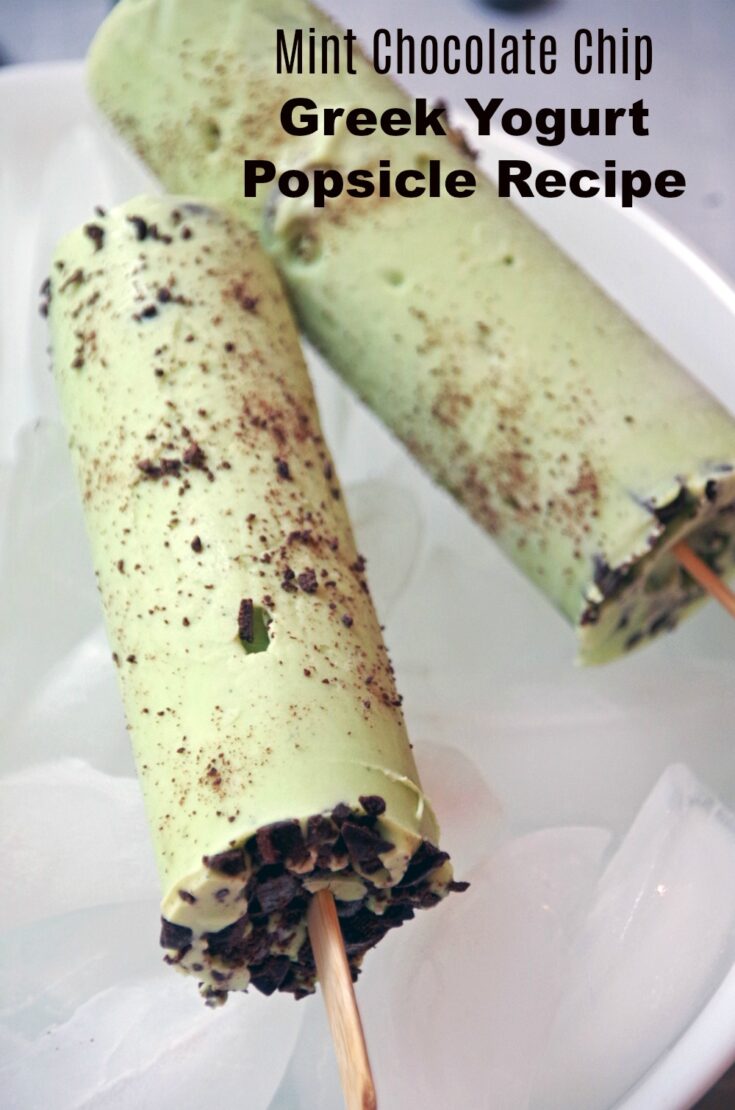 Mint Chocolate Chip Greek Yogurt Popsicle Recipe