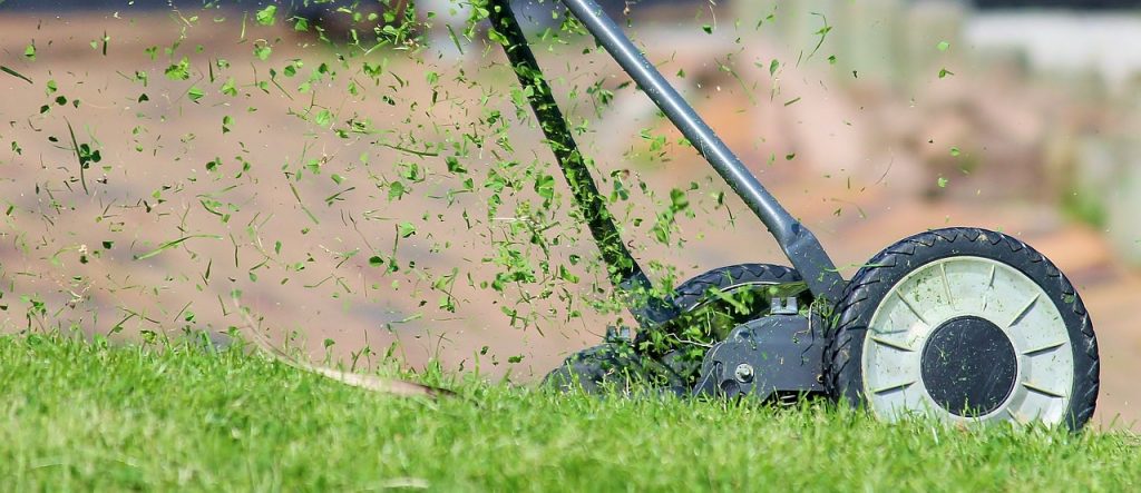 Grass Cutting Tips for a Green and Healthy Lawn