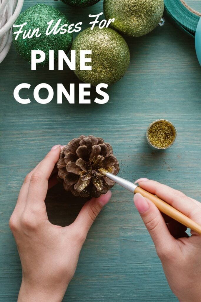 11 Amazing Uses for Pine Cones You Probably Didn't Know