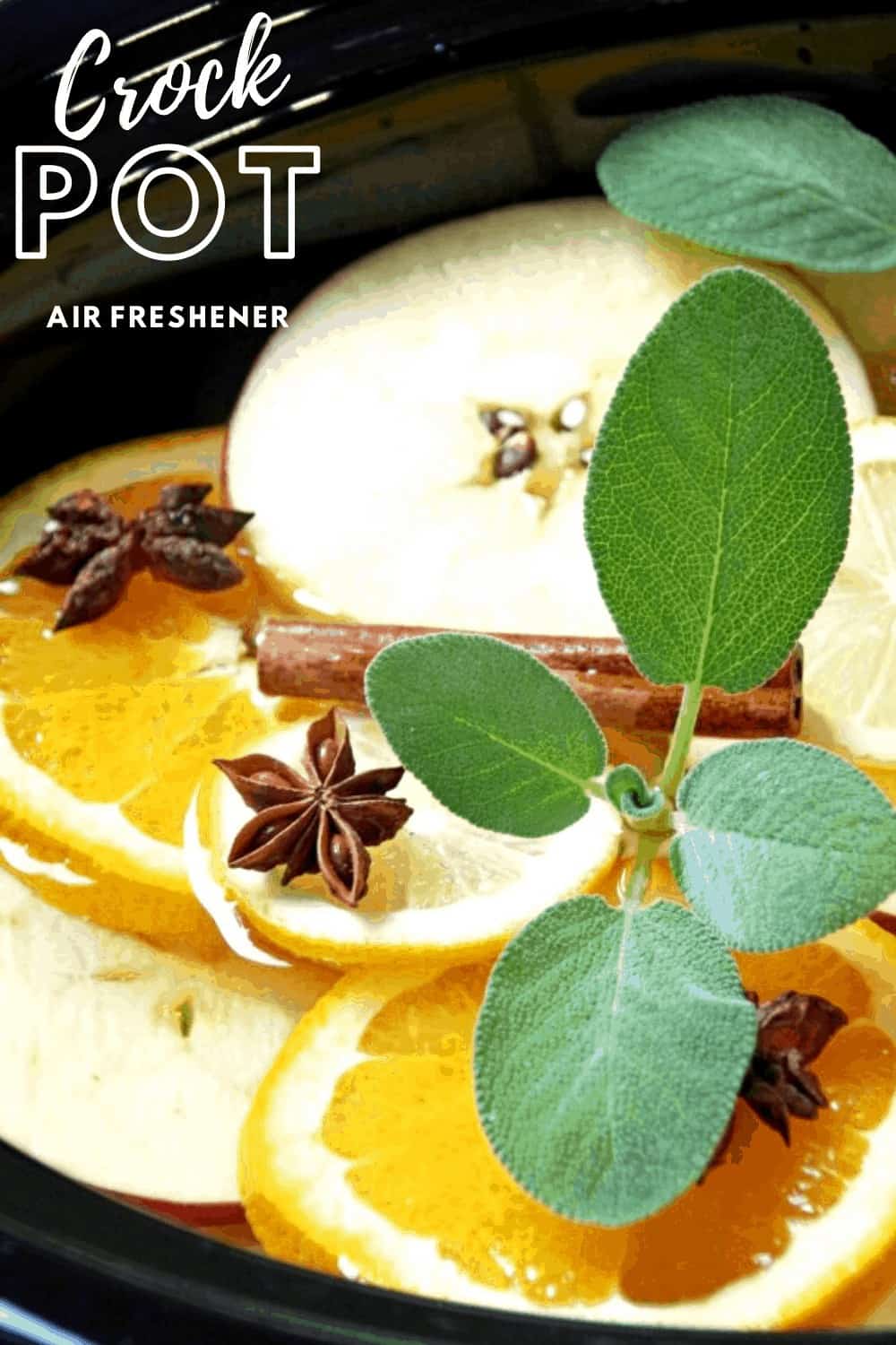 Crock Pot Air Freshener Recipe Turning the Clock Back