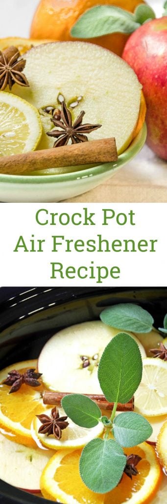 Crock Pot Air Freshener Recipe Perfect for Fall