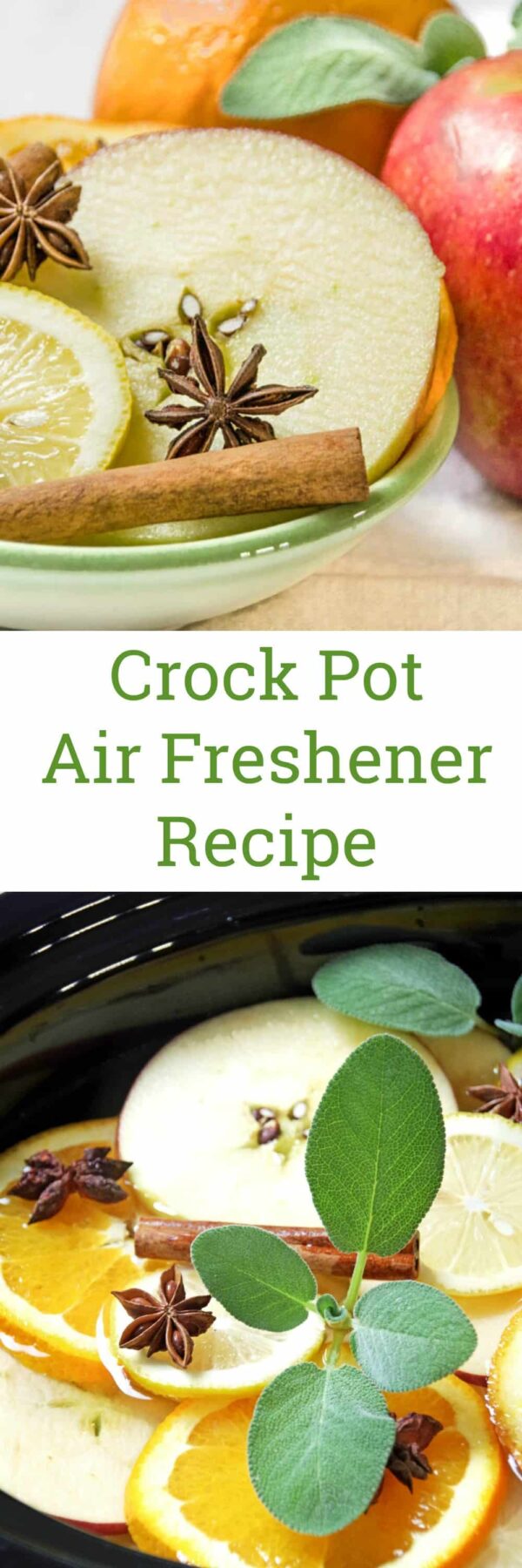 Crock Pot Air Freshener Recipe Turning the Clock Back