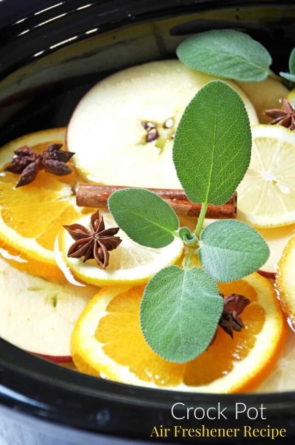 Crock Pot Air Freshener Recipe Turning the Clock Back